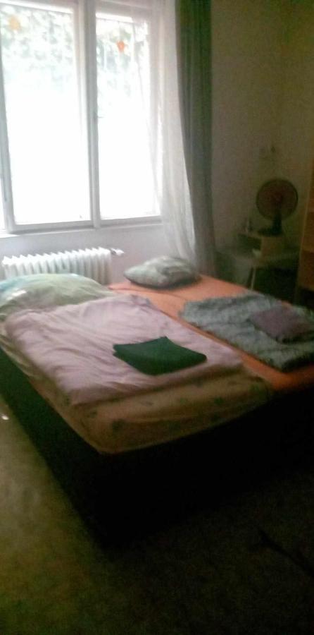 Flat 18 Minutes From Vaclavske Namesti 프라하 외부 사진